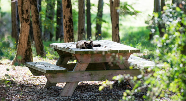 Meilleur lotisseur de Toulouse